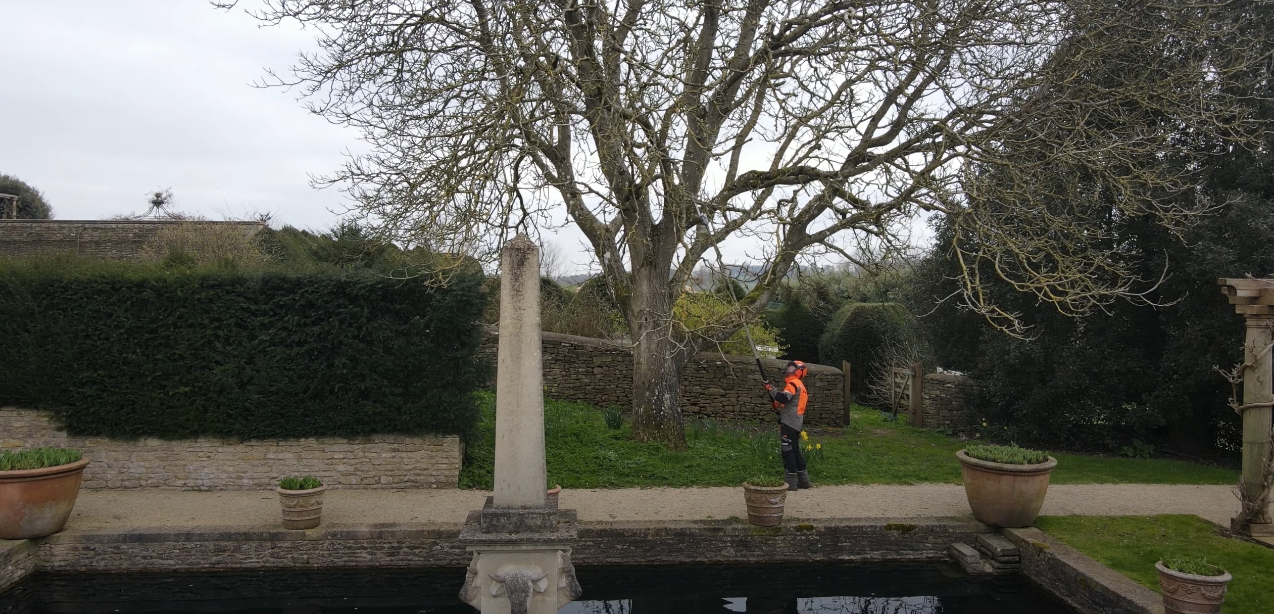 Tree Health & Maintenance service in Utica, NY