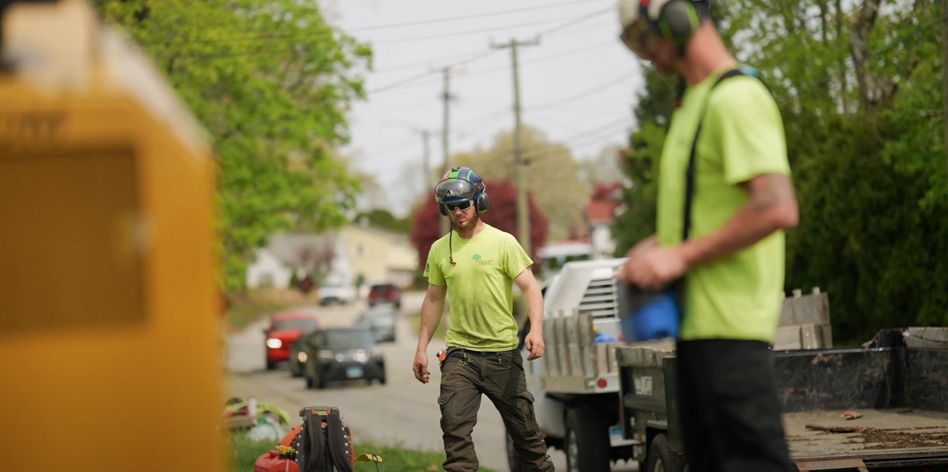 Professional tree service crew working on residential property in Utica NY showing comprehensive tree care services