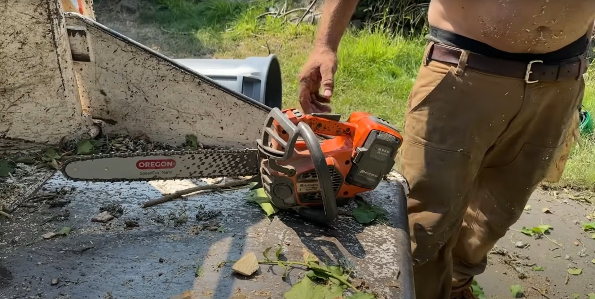 Professional chainsaw work during tree cutting and pruning service