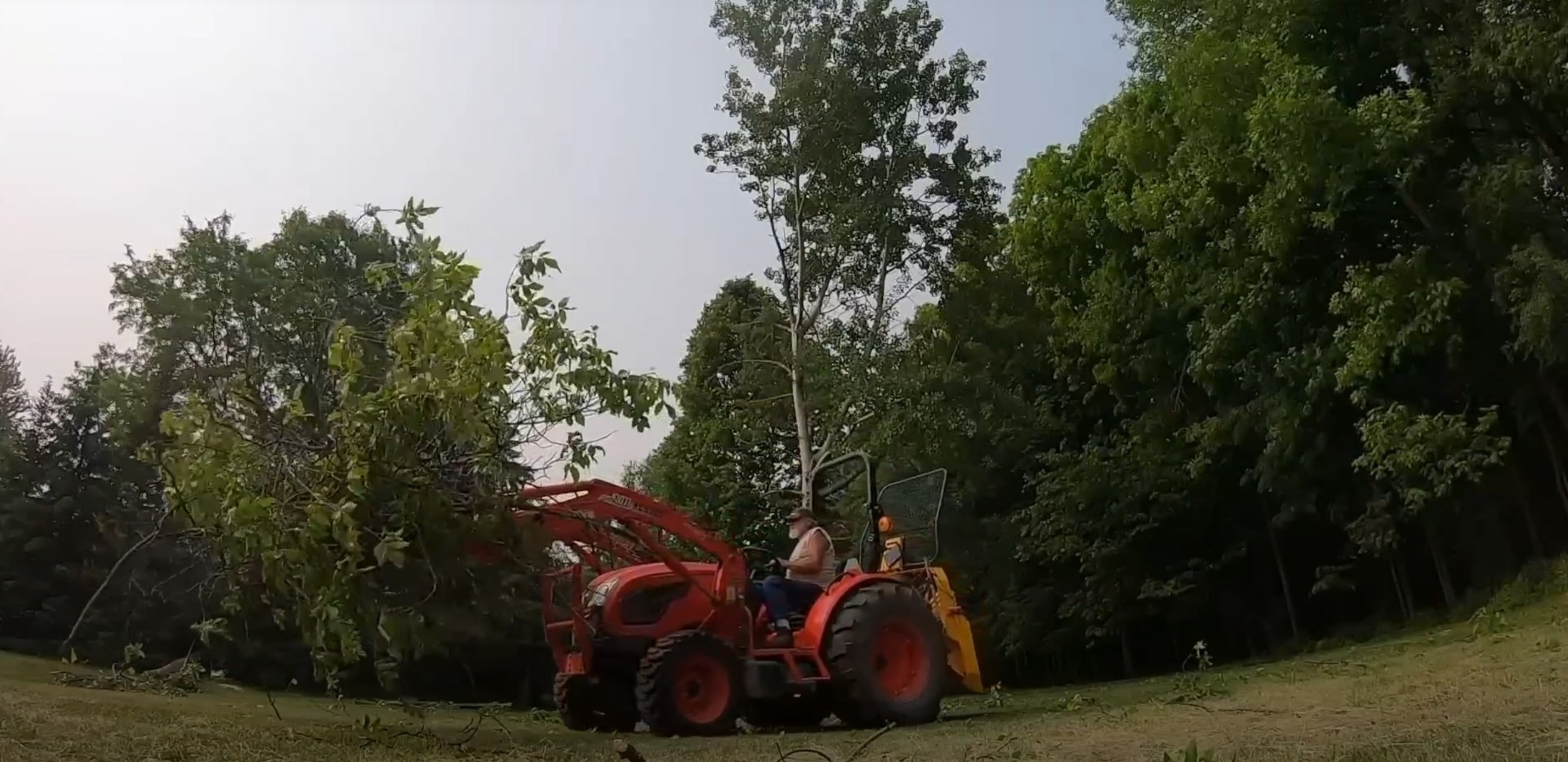Heavy equipment clearing trees and vegetation for land development