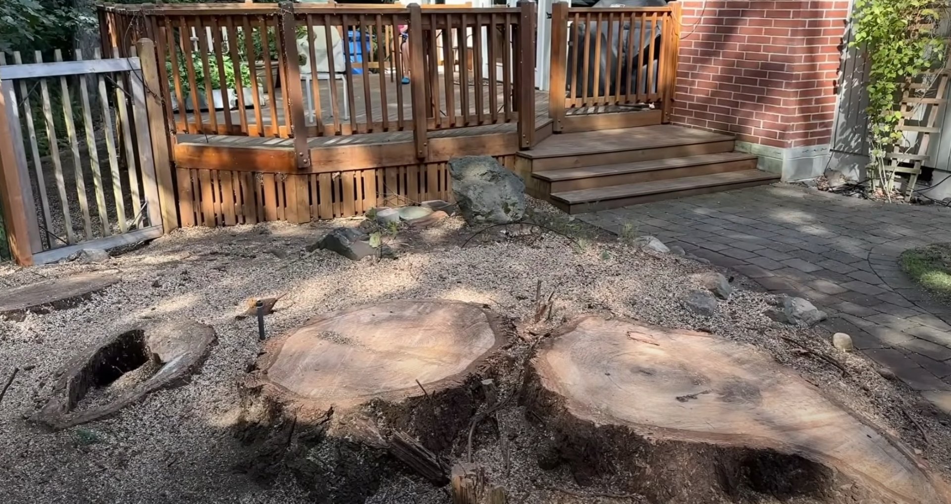 Completed stump removal project showing clean yard after professional stump grinding