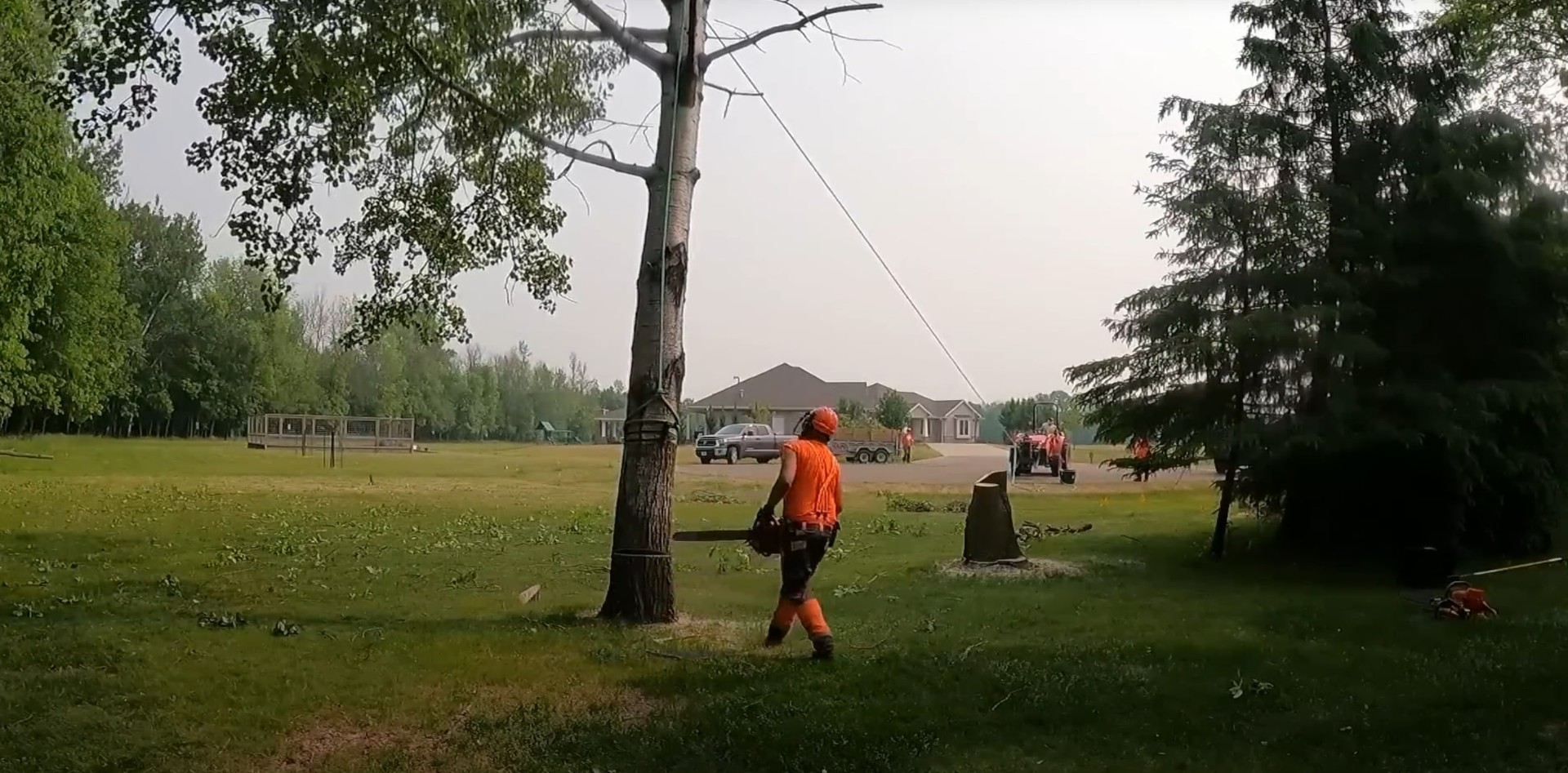 Tree service professional cutting down large tree in open field area