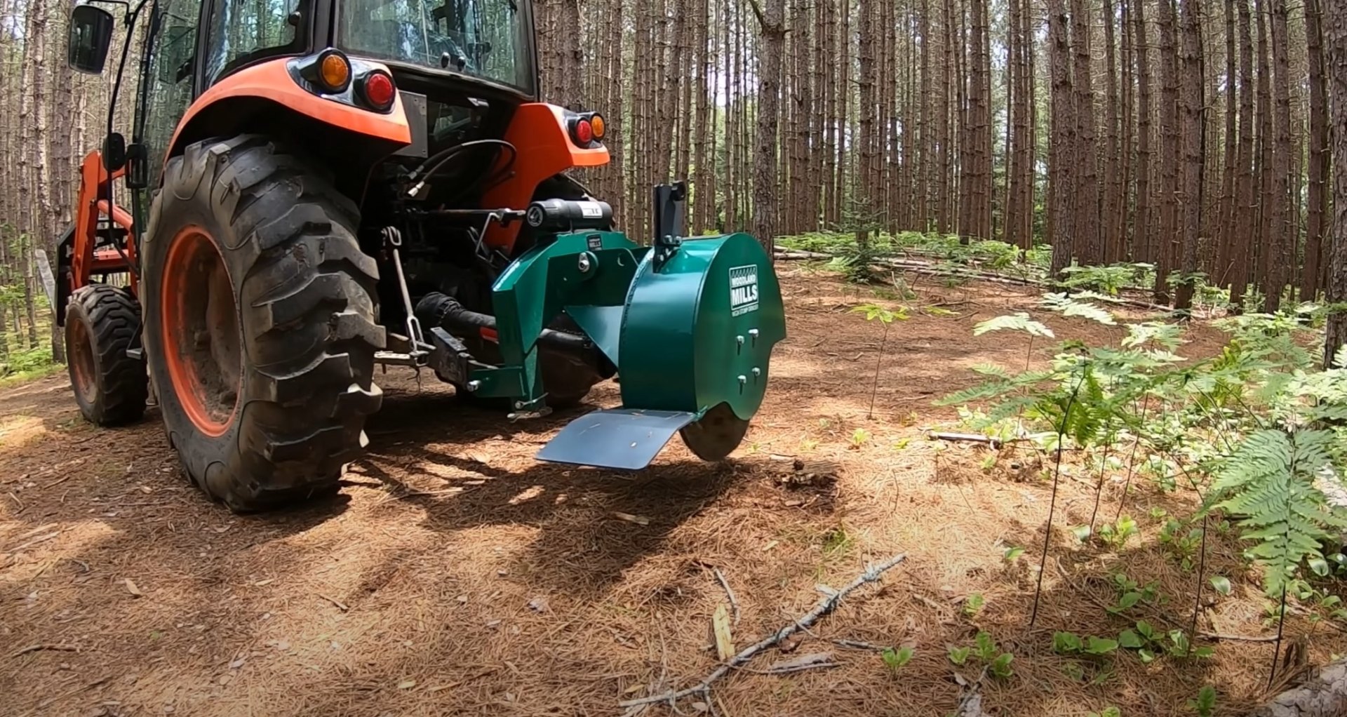 Professional stump grinding equipment clearing forest area