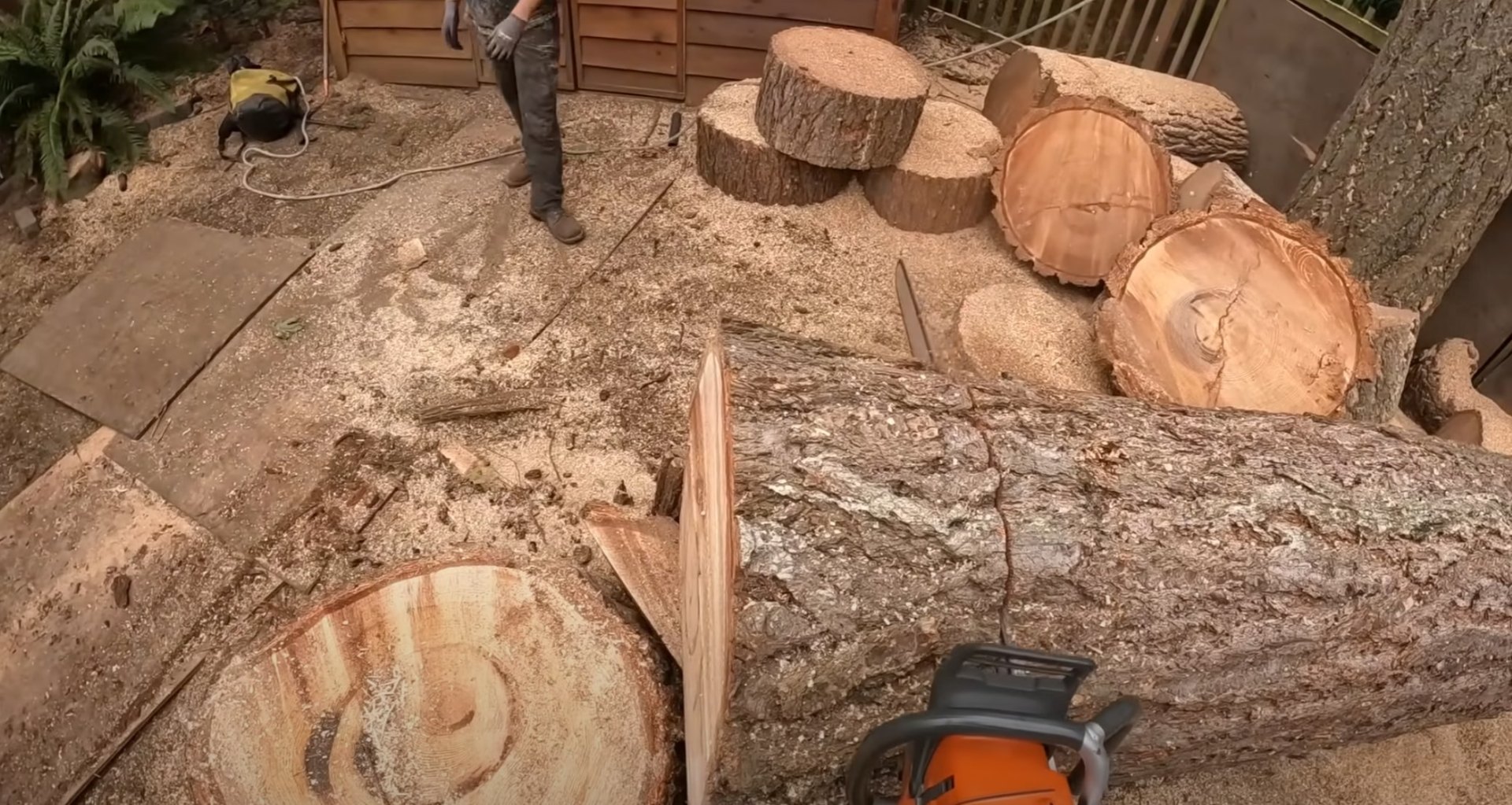 Stump grinding equipment removing tree stumps showing wood chips and cleared landscape area
