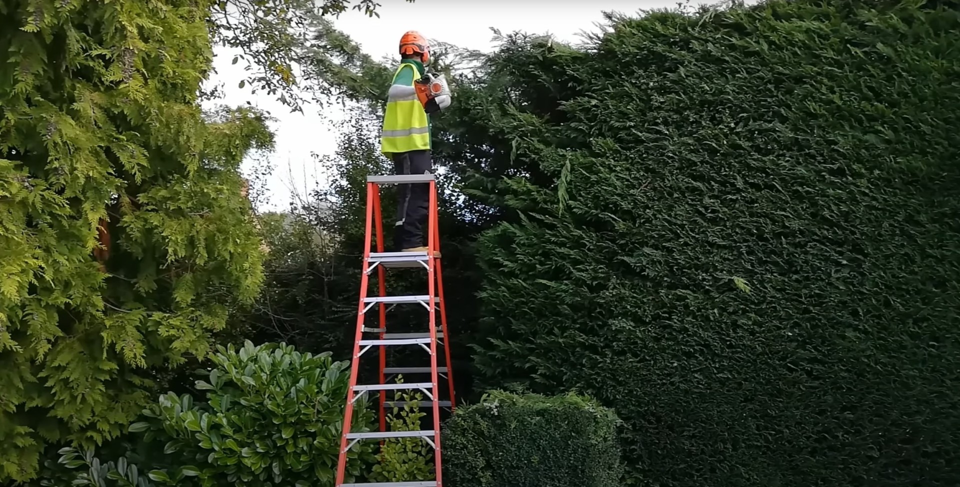 Professional arborist trimming tree branches with chainsaw on ladder in Utica NY