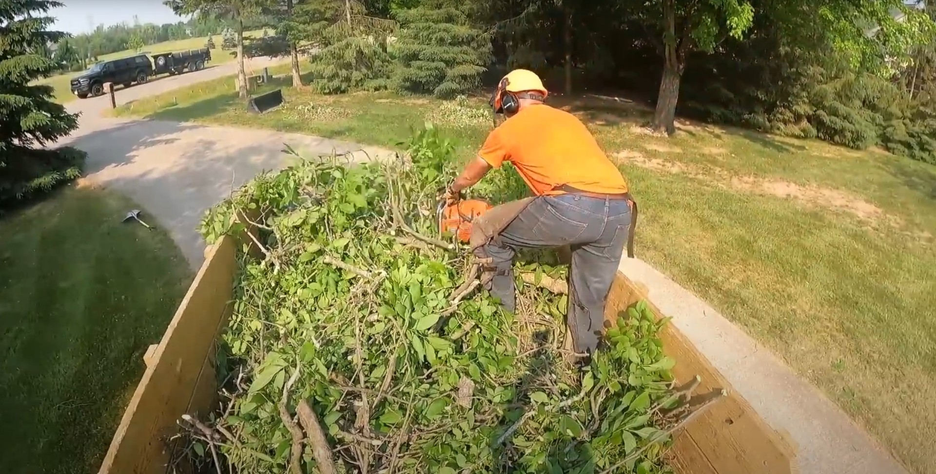 Arborist using chainsaw for professional tree cutting and debris removal