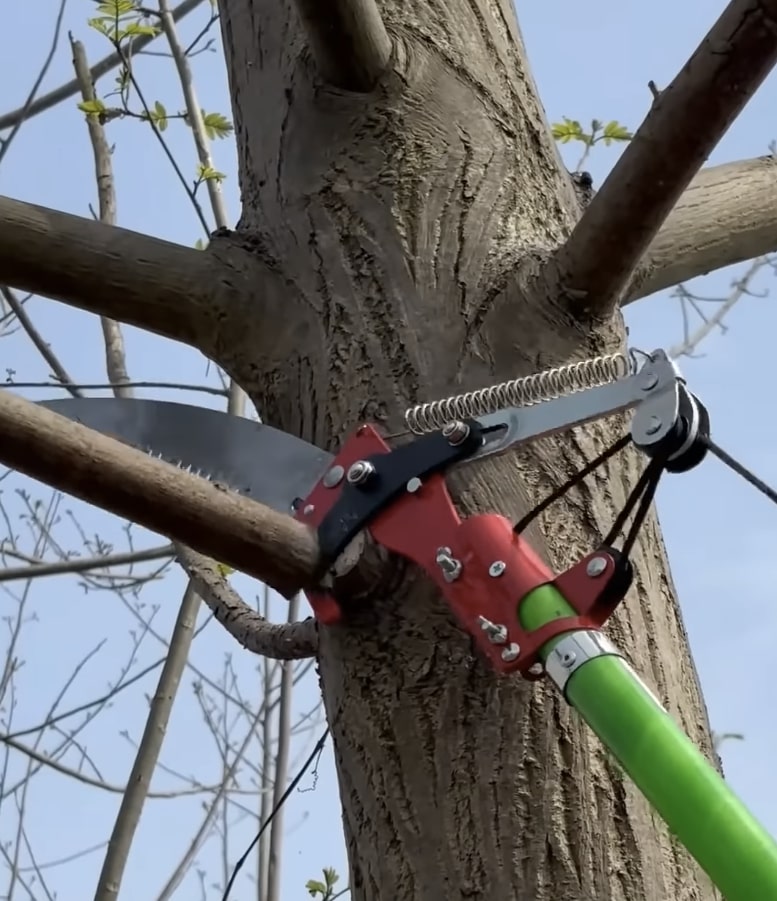 Pole saw equipment for precise branch cutting and tree maintenance