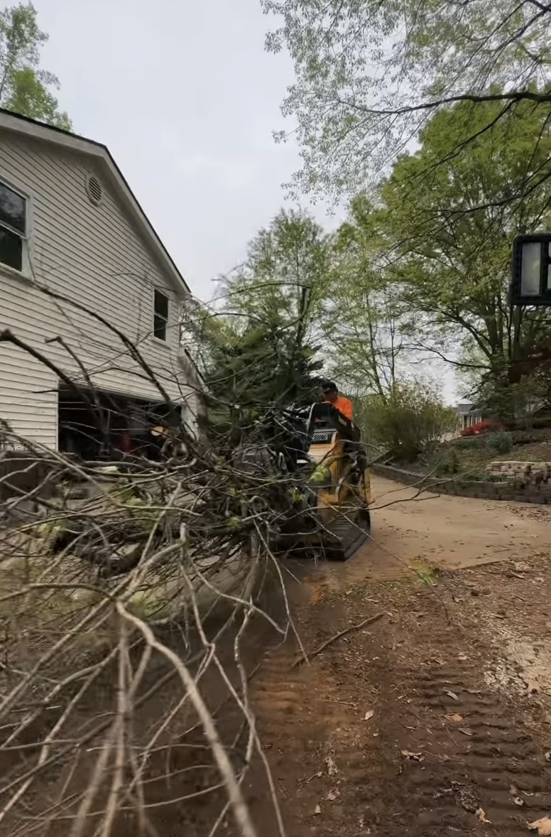 Tree removal cleanup service showing professional equipment and debris removal